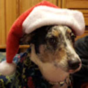 Meet your Posher, Ann marie